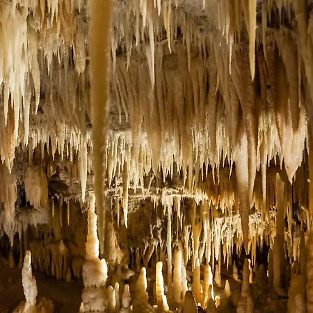 Casa Di Sofia Vicino Ospedale E Grotte Casa de hóspedes 3*