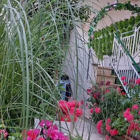 Casa Di Sofia Vicino Ospedale E Grotte 3*