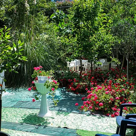 Casa de hóspedes Casa Di Sofia Vicino Ospedale E Grotte Castellana Grotte