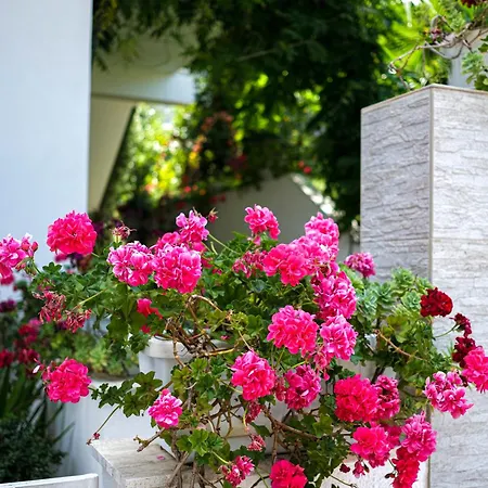 Pensjonat Casa Di Sofia Vicino Ospedale E Grotte 3*